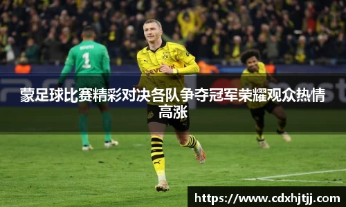 蒙足球比赛精彩对决各队争夺冠军荣耀观众热情高涨