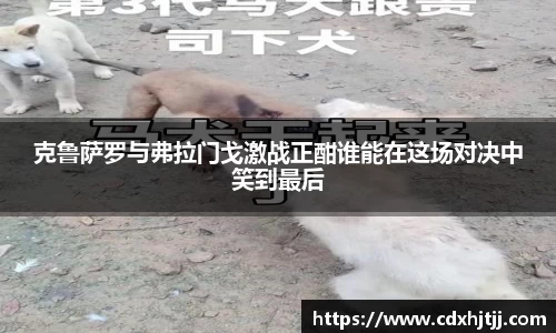 克鲁萨罗与弗拉门戈激战正酣谁能在这场对决中笑到最后