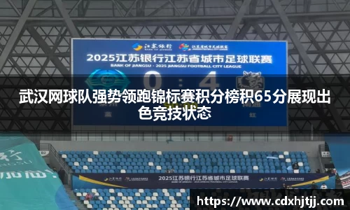 武汉网球队强势领跑锦标赛积分榜积65分展现出色竞技状态