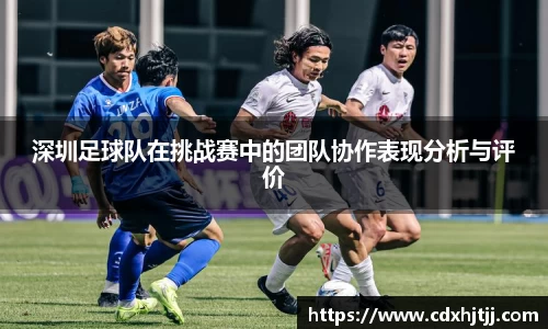 深圳足球队在挑战赛中的团队协作表现分析与评价